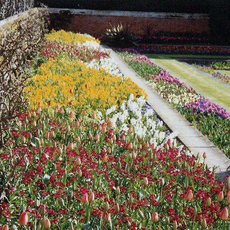 Royal Flower Pensión Pyin Oo Lwin Exterior foto